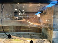 -宠物世家(仲盛世界商城店)