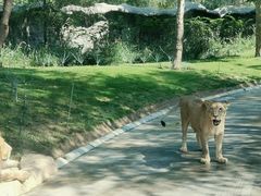 -北京野生动物园