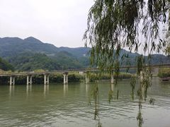 -后柳水乡