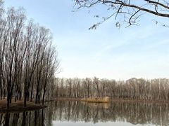 -东郊湿地公园