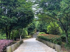-九龙潭景区