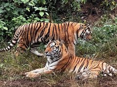 -杭州野生动物世界