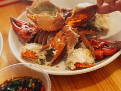 -瑞丽活螃蟹(芒市店)