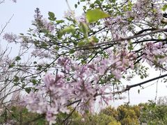 -白塘生态植物园