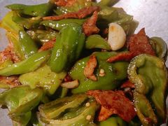 -前海沿·青岛菜(大拇指广场石老人店)