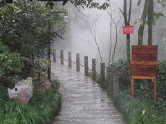 -十八棵（老龙井）御茶园(老龙井店)