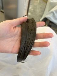 -V8潮牌·接发烫染连锁