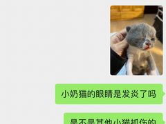 -佳雯宠物医院·皮肤科·内外科(春晓路分院)