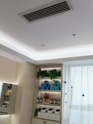 -碧莲盛·不剃发植发