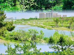 -灞河西岸滨河公园