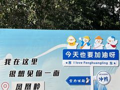 -北京凤凰岭