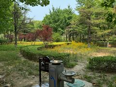 -大兴滨河森林公园