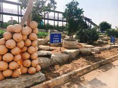 -东芭乐园
