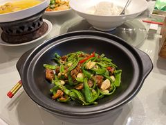 -沪碟·精菜坊(闵行店)