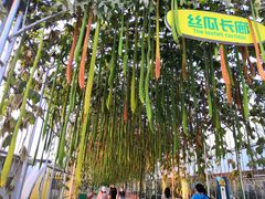 -北戴河集发农业梦想王国