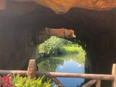 -上海玛雅海滩水公园