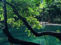 -石台牯牛降景区