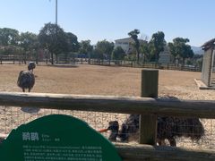 -苏州太湖西山岛开心农场