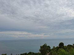 -广东惠东海龟国家级自然保护区