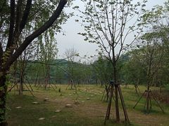 -盘龙城国家考古遗址公园