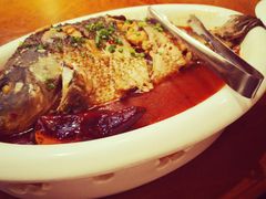 -蒙古大营(朝阳公园店)