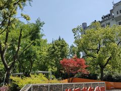 -兰溪青年公园