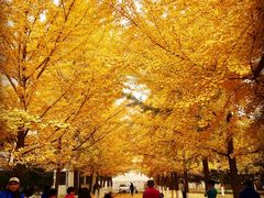 -辽宁大学(崇山校区)