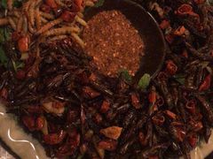 -紫滇源云南生态菜(丹凤街店)