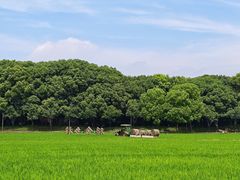 -乌村