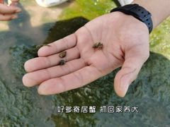 -在海一方公园