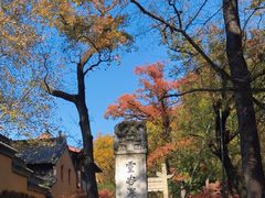 -灵谷景区