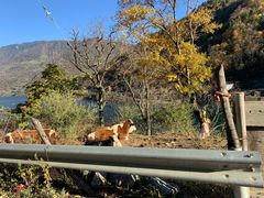 -硗碛藏寨·神木垒景区