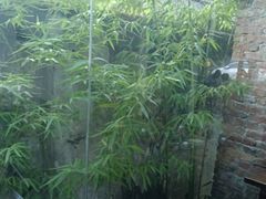-西部一串烧烤·地道湘西小串