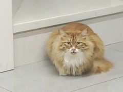 -木子陶艺(春熙路店)