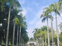 -厦门大学(思明校区)