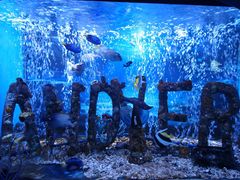 -太平洋海底世界