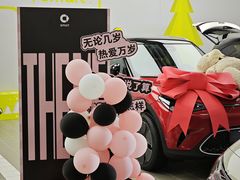 -上海浦东smart汽车全功能店(金桥店)