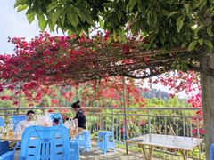 -金水泊山庄·花椒鸡(铁山坪店)