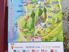 -西霞口神雕山野生动物世界