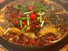 -老板恋上鱼(恒隆广场店)