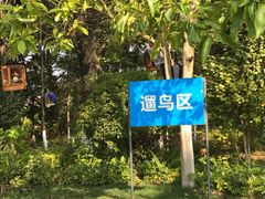 景点-洛龙公园