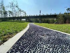 -广州市流溪河国家森林公园