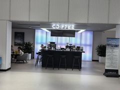 -青岛鸿发智越领克新能源中心