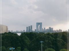 -苏州金鸡湖文博诺富特酒店