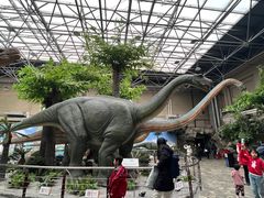 -国家自然博物馆