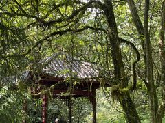 -西岭雪山大飞水景区