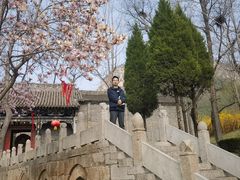 -娲皇宫