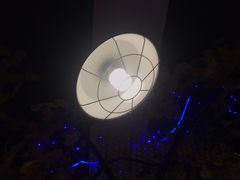 -特色酱椒鱼私房菜(黄鹤楼店)