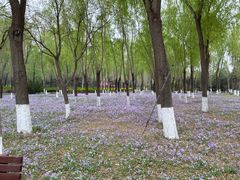 -东升八家郊野公园