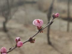 -森林公园(尖草坪区)